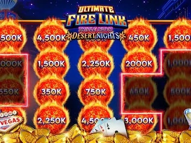 Live Dealer Casino Interface